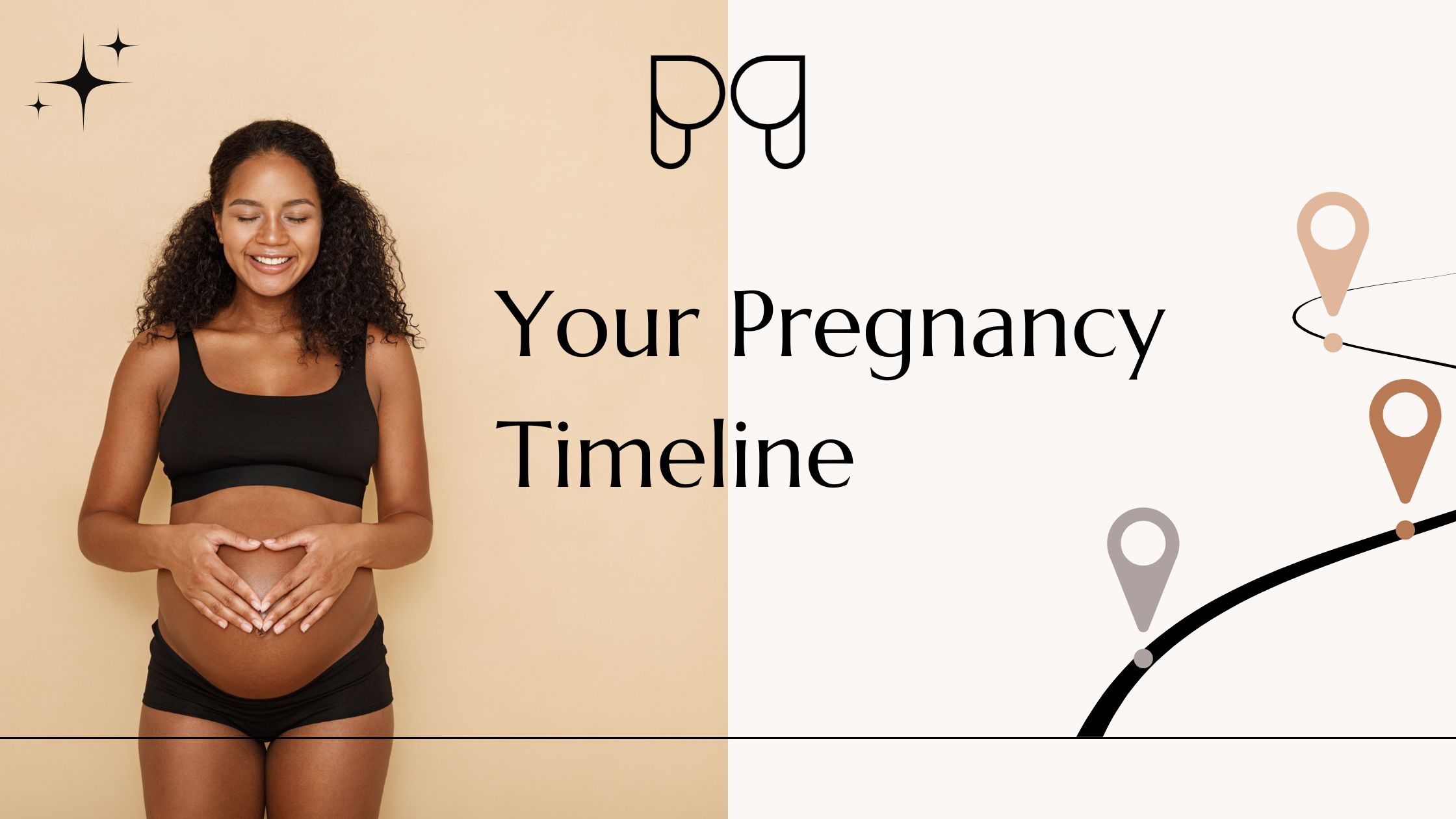 Text reads Pregnancy Timeline